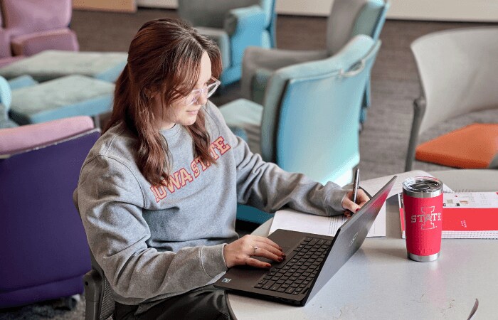 A student utilizing Immediate Access One to study on a desktop computer